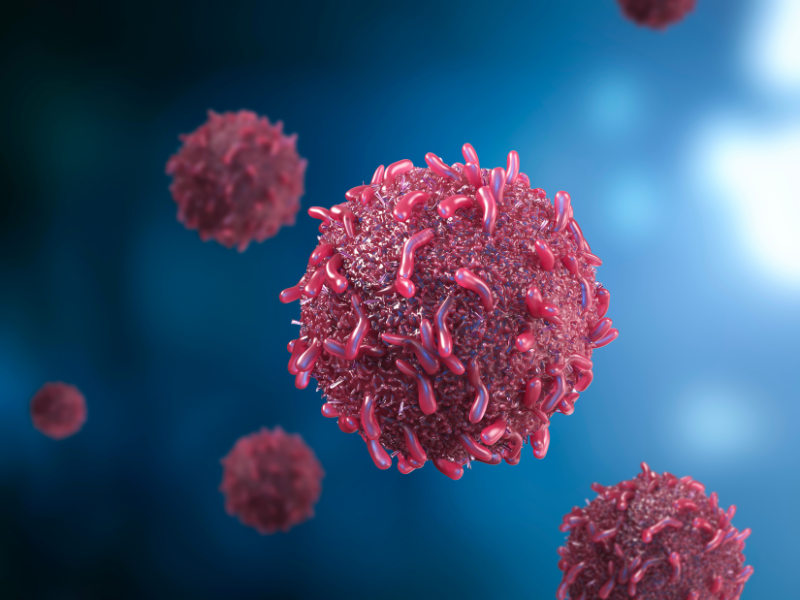 NK Cell Attack